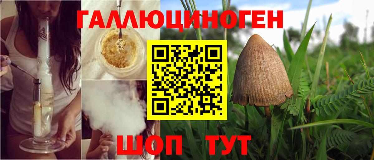 Галлюциногенные грибы Magic Shrooms  Вход с VPN  Галлюциногенные грибы MAGIC MUSHROOMS  Нальчик 